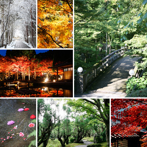 京都の四季の彩りを味わう歓びを