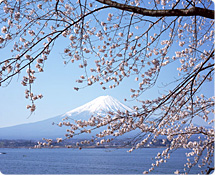 山中湖・河口湖・その他富士エリア