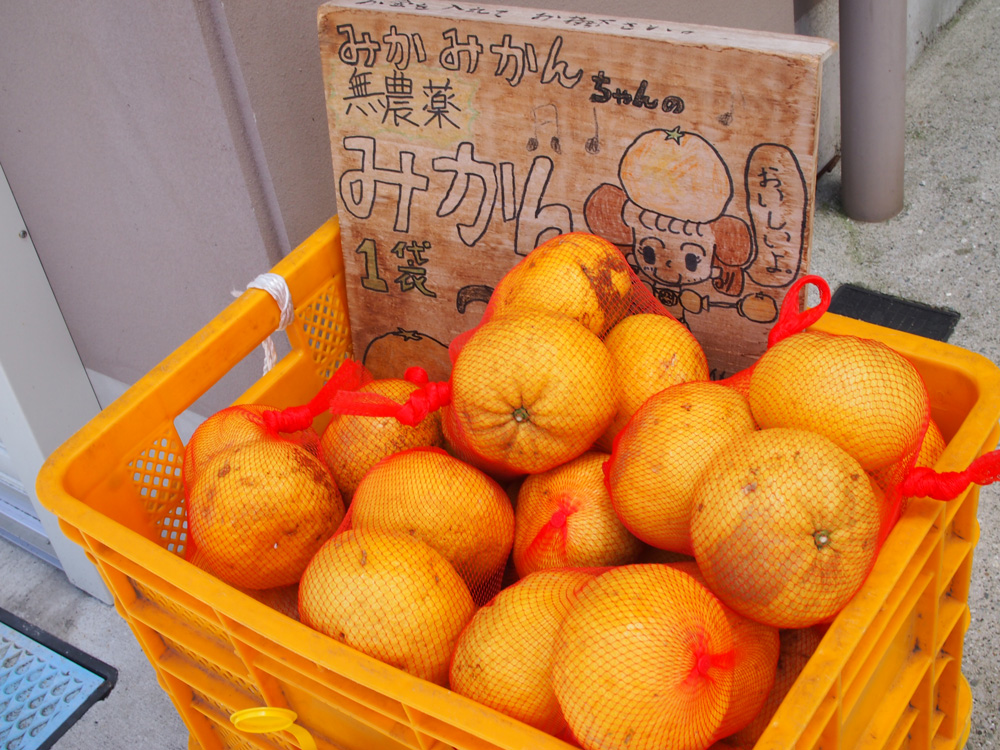 写真は、伊豆山エリアで売られていたみかんです……。