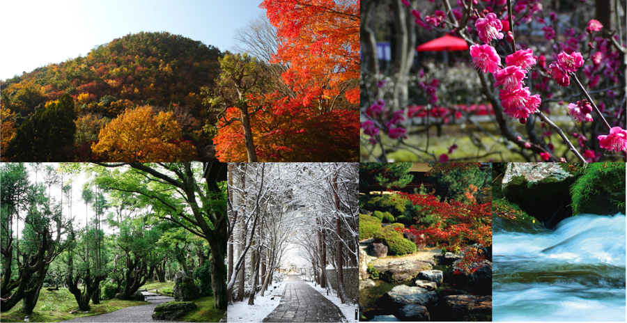 しょうざんリゾート京都のお庭を散策するのも魅力のひとつ