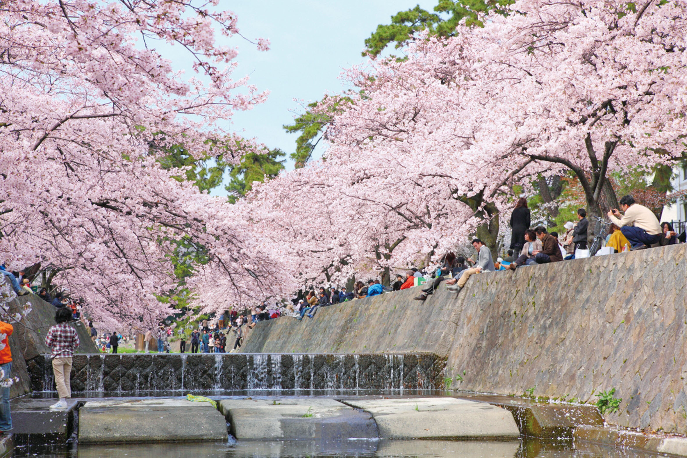 夙川公園