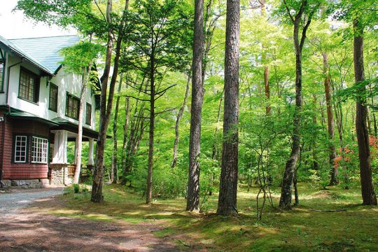 Karuizawa Forest 2