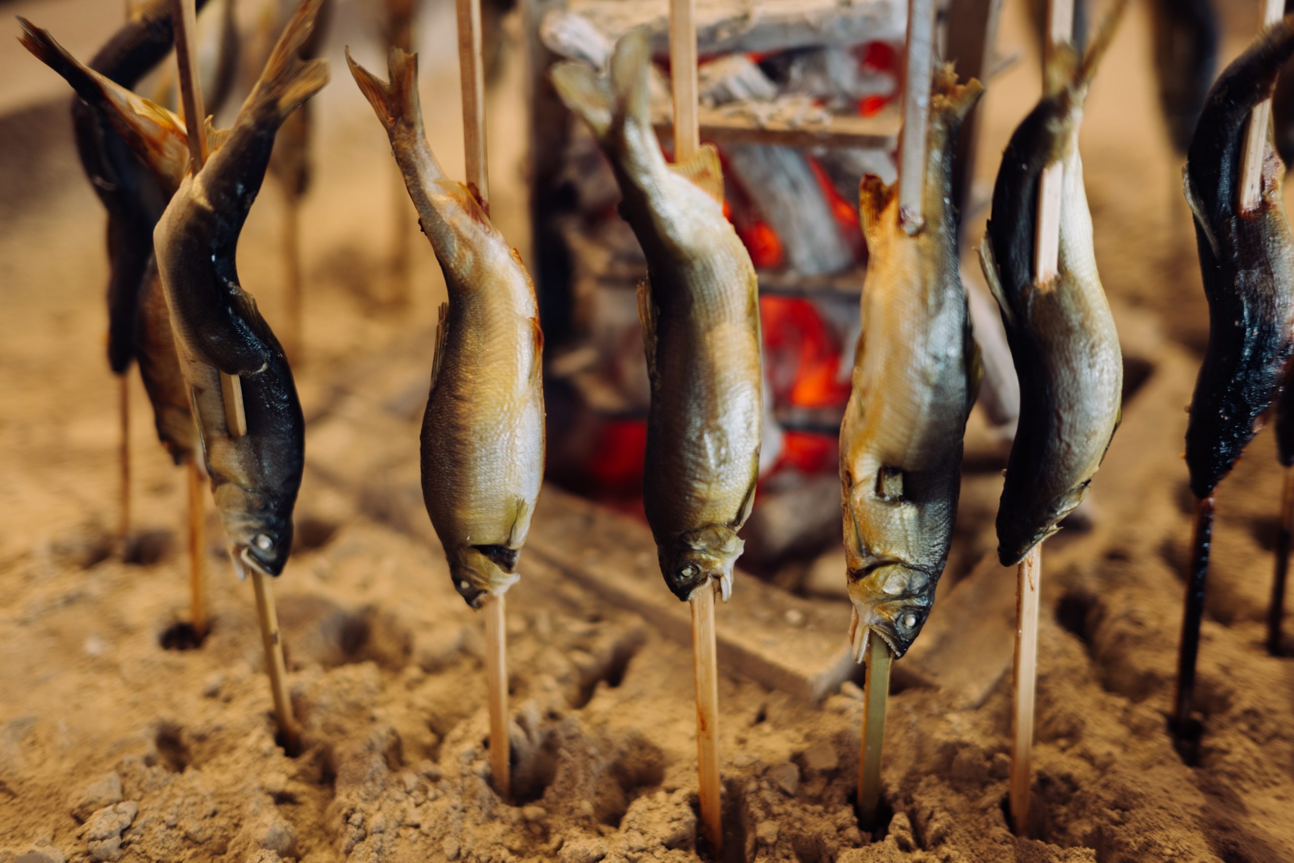 「東急ハーヴェストクラブ南紀田辺」のダイニング「IRODORI」囲炉裏での焼き魚
